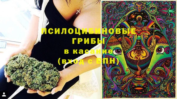 прущая мука Алзамай