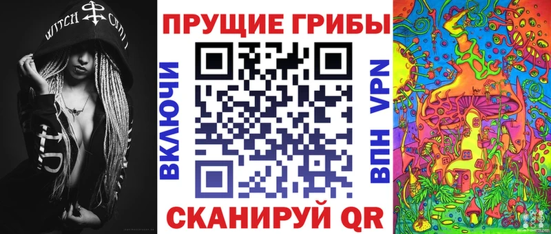 кракен зеркало  Гвардейск  Псилоцибиновые грибы Psilocybe 